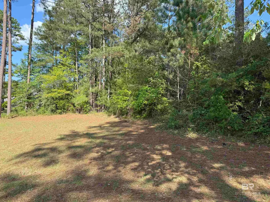 0 Juniper Creek Drive, Brewton, AL 36426 - #2