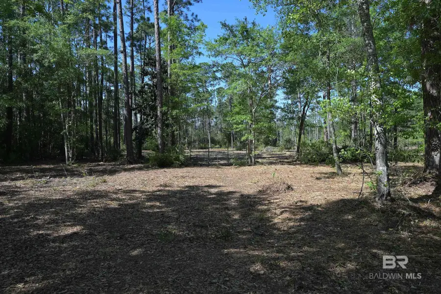 35745 Boykin Boulevard, Lillian, AL 36549 - #3