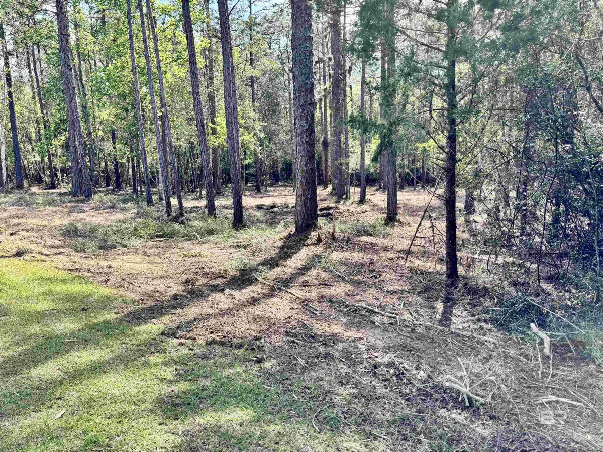 0 Steelwood Ridge Road, Loxley, AL 36551 - #1