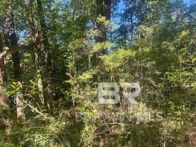 42507 Amelia Road, Bay Minette, AL 36507 - #2