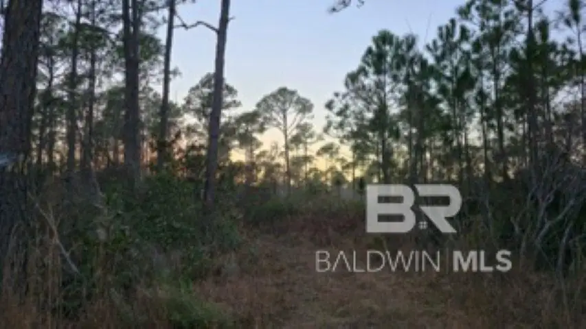 0 Dauphin Island Parkway, Coden, AL 36523 - #1