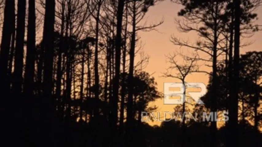 0 Dauphin Island Parkway, Coden, AL 36523 - #2