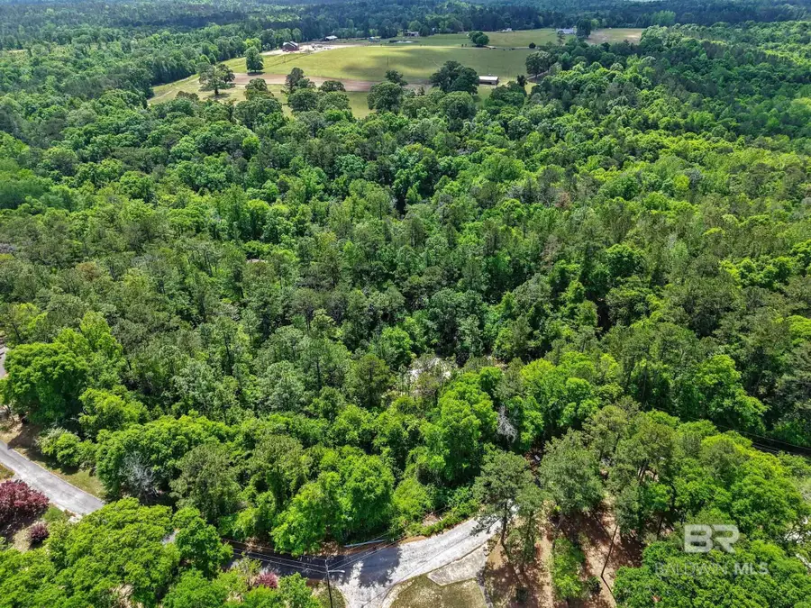 0 Chickasaw Drive, Jackson, AL 36545 - #3