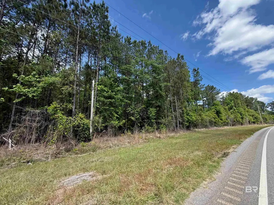 0 State Highway 59, Stockton, AL 36579 - #3