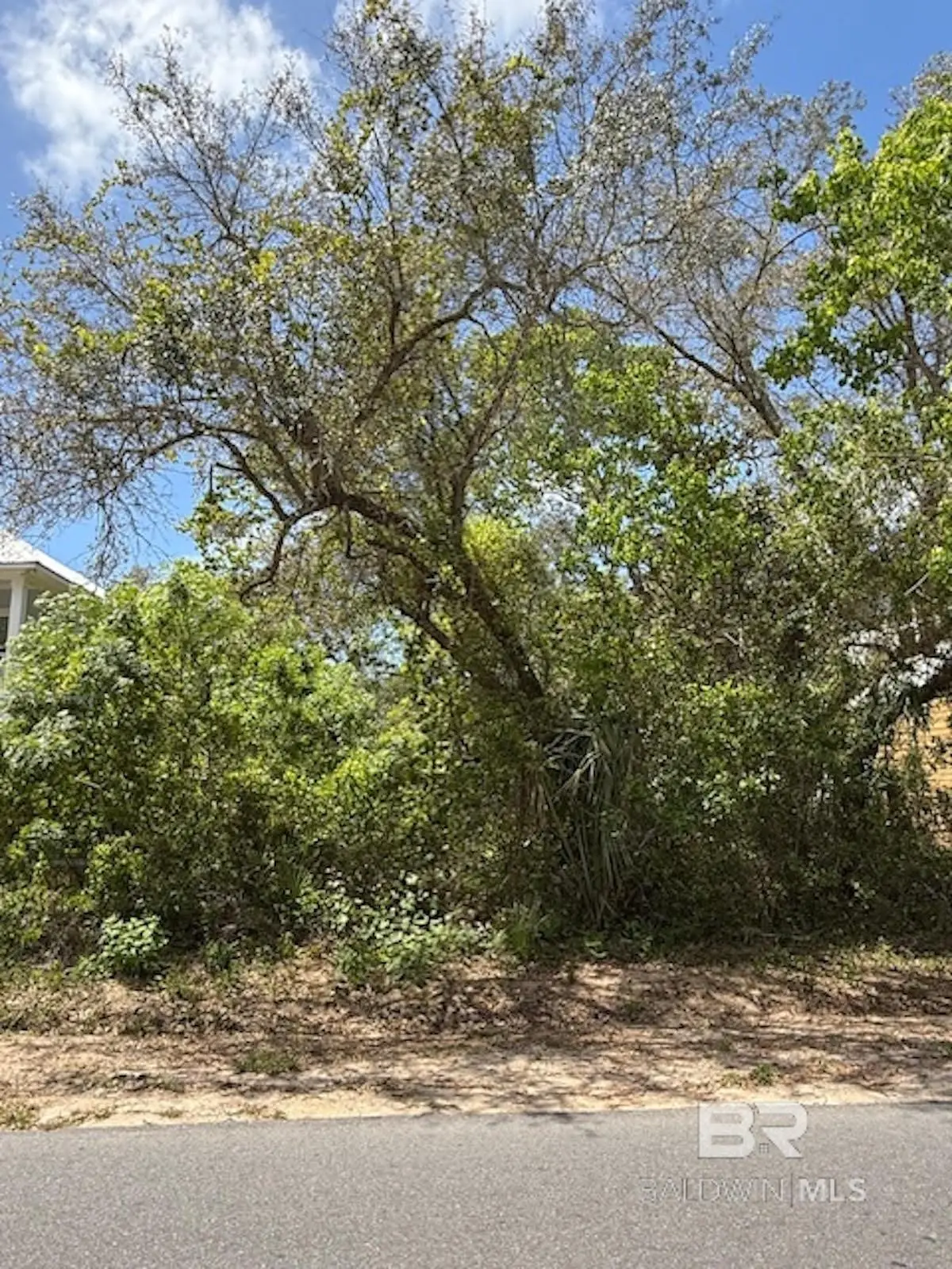 0 Gulf Avenue, Orange Beach, AL 36561 - #1