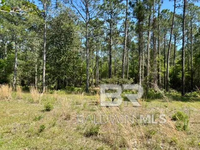 Millwood Drive, Gulf Shores, AL 36542 - #2