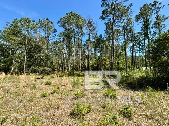Millwood Drive, Gulf Shores, AL 36542 - #3