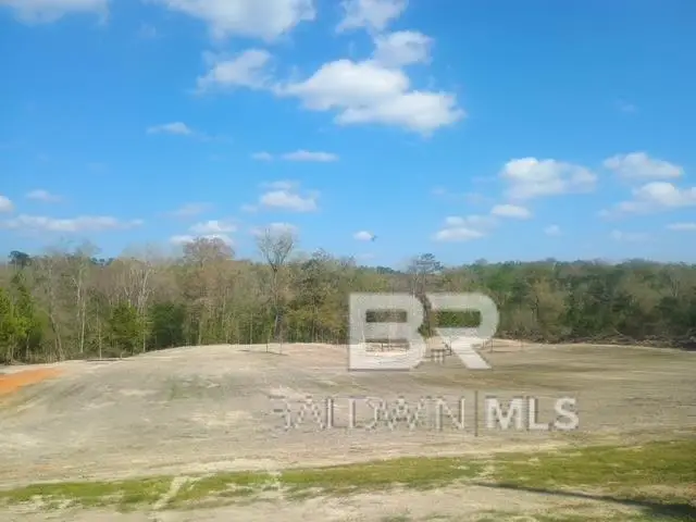 218 Gumball Lane, Coffeeville, AL 36524 - #1