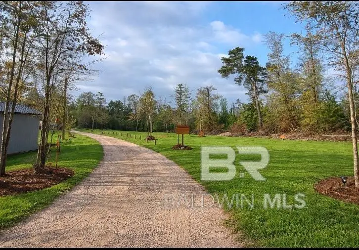 218 Gumball Lane, Coffeeville, AL 36524 - #3