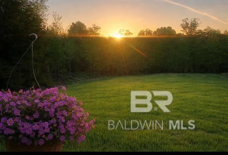 218 Gumball Lane, Coffeeville, AL 36524 - #3