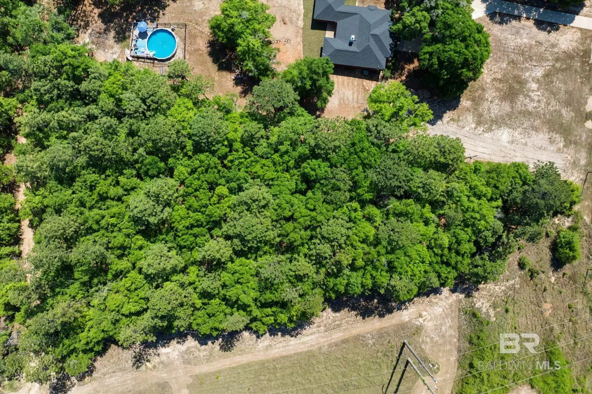 Radcliff Road, Saraland, AL 36571 - #1