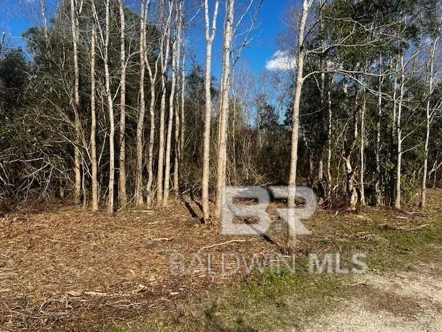 0 Bellingrath Road, Theodore, AL 36582 - #2
