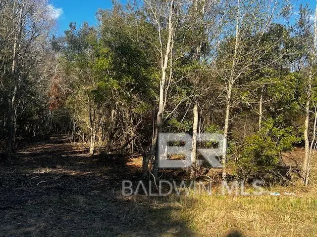 0 Bellingrath Road, Theodore, AL 36582 - #3