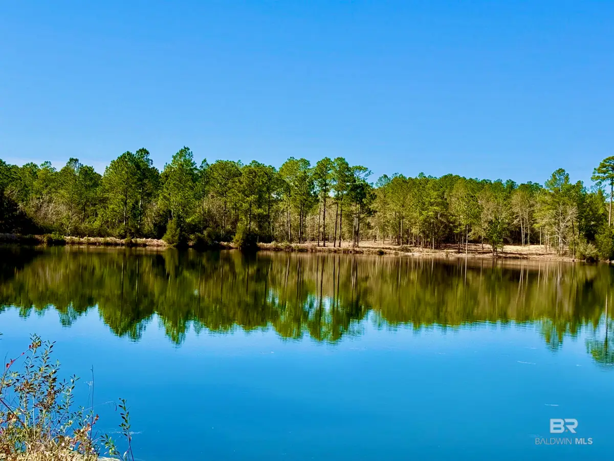 4 Red Feather Drive, Seminole, AL 36574 - #1