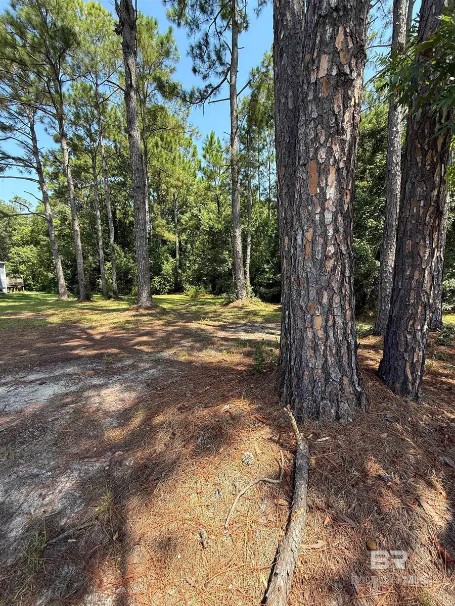 Pompano Drive, Elberta, AL 36530 - #2