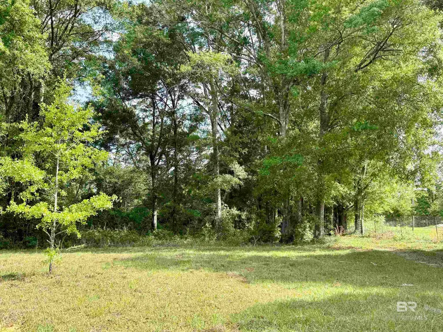 19160 County Road 68, Robertsdale, AL 36567 - #3