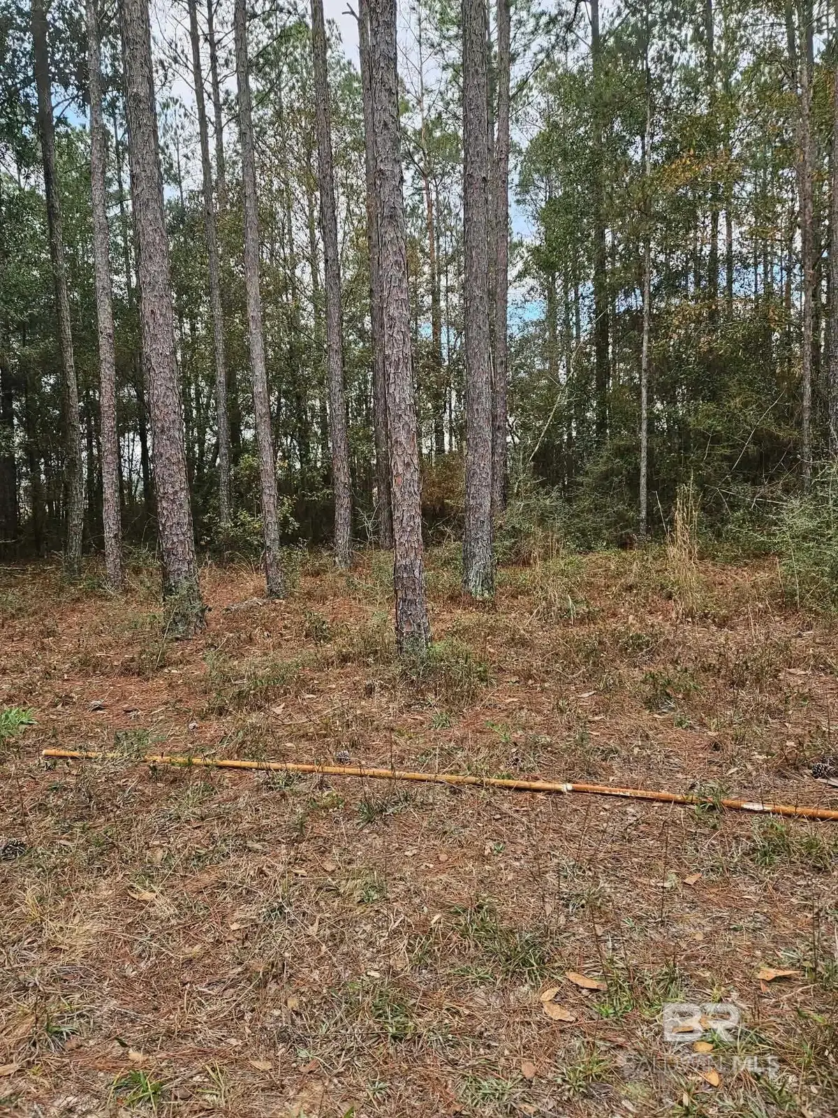 0 Gardner Road, Elberta, AL 36530 - #1