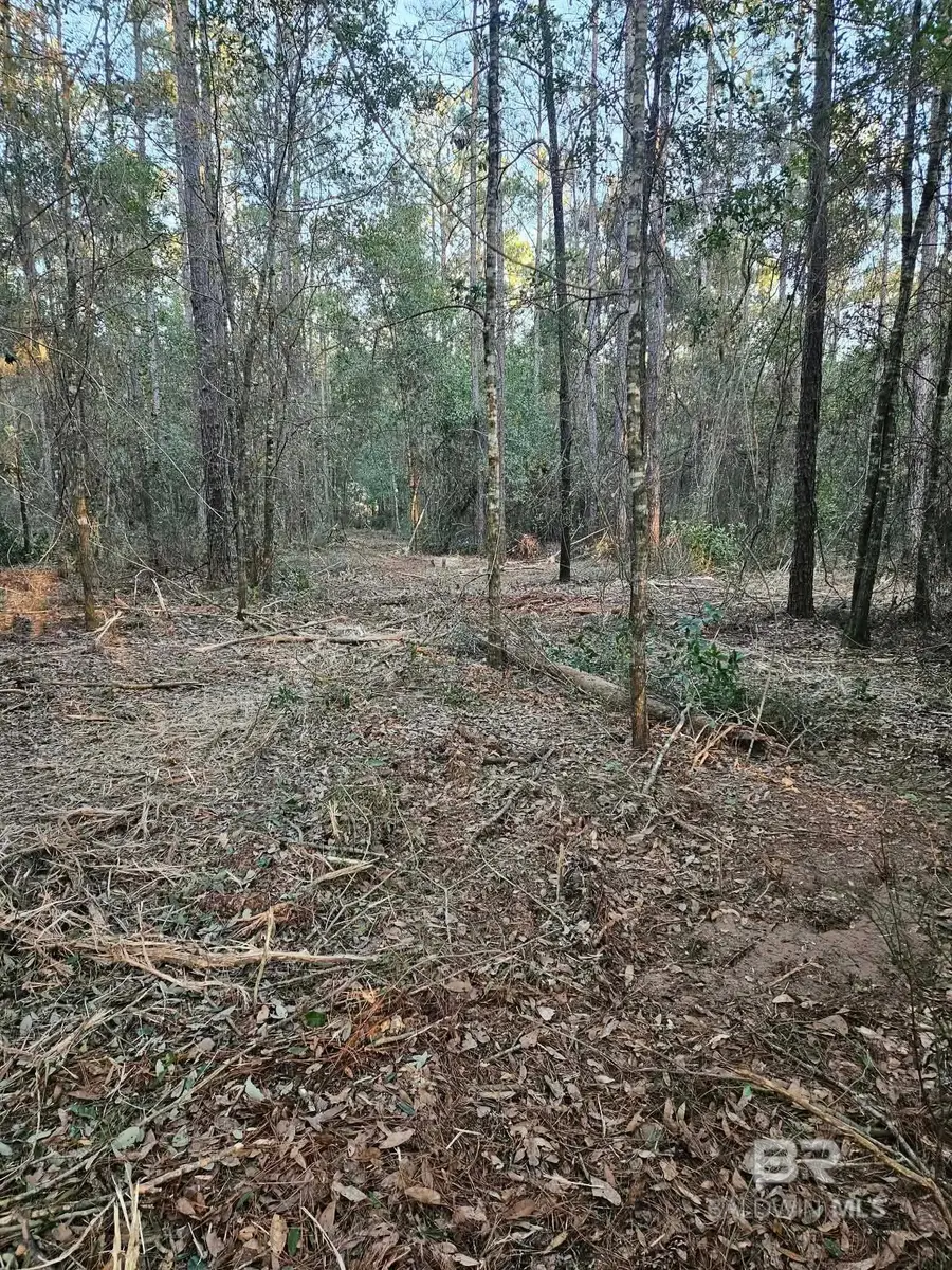 0 Gardner Road, Elberta, AL 36530 - #3