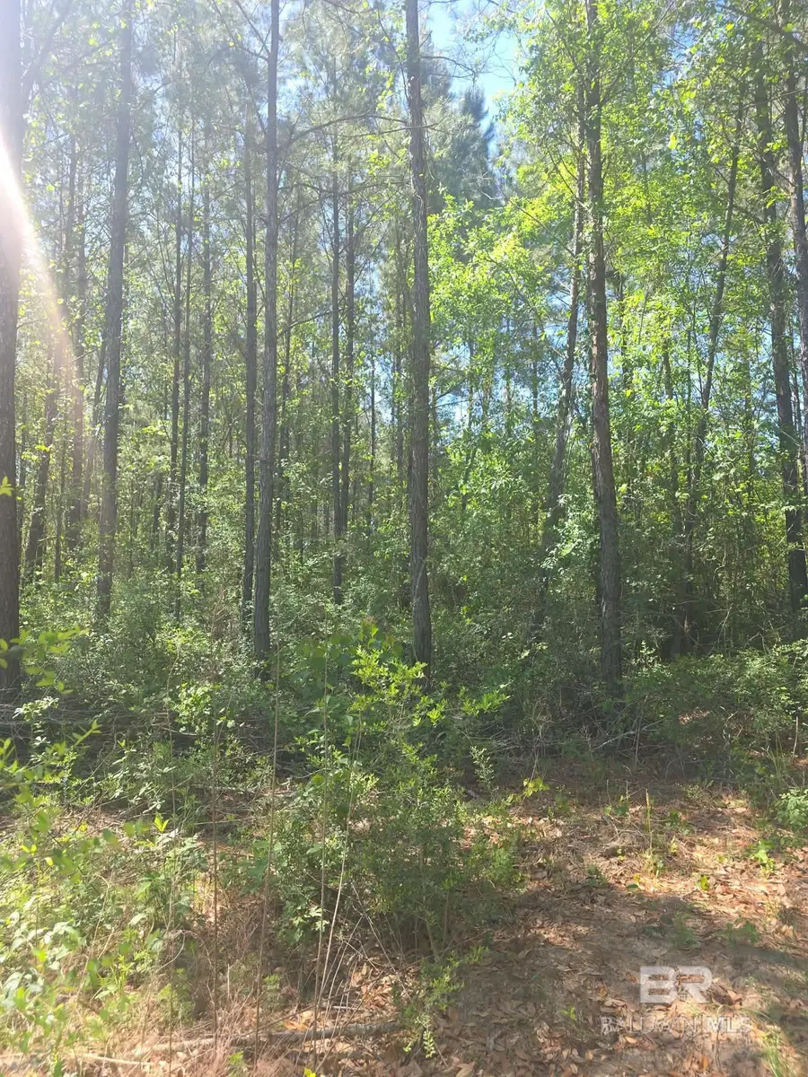 0 Smallwood Lane, Seminole, AL 36574 - #2