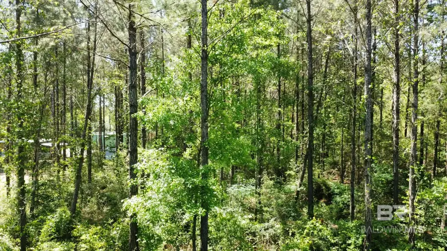 0 Smallwood Lane, Seminole, AL 36574 - #3