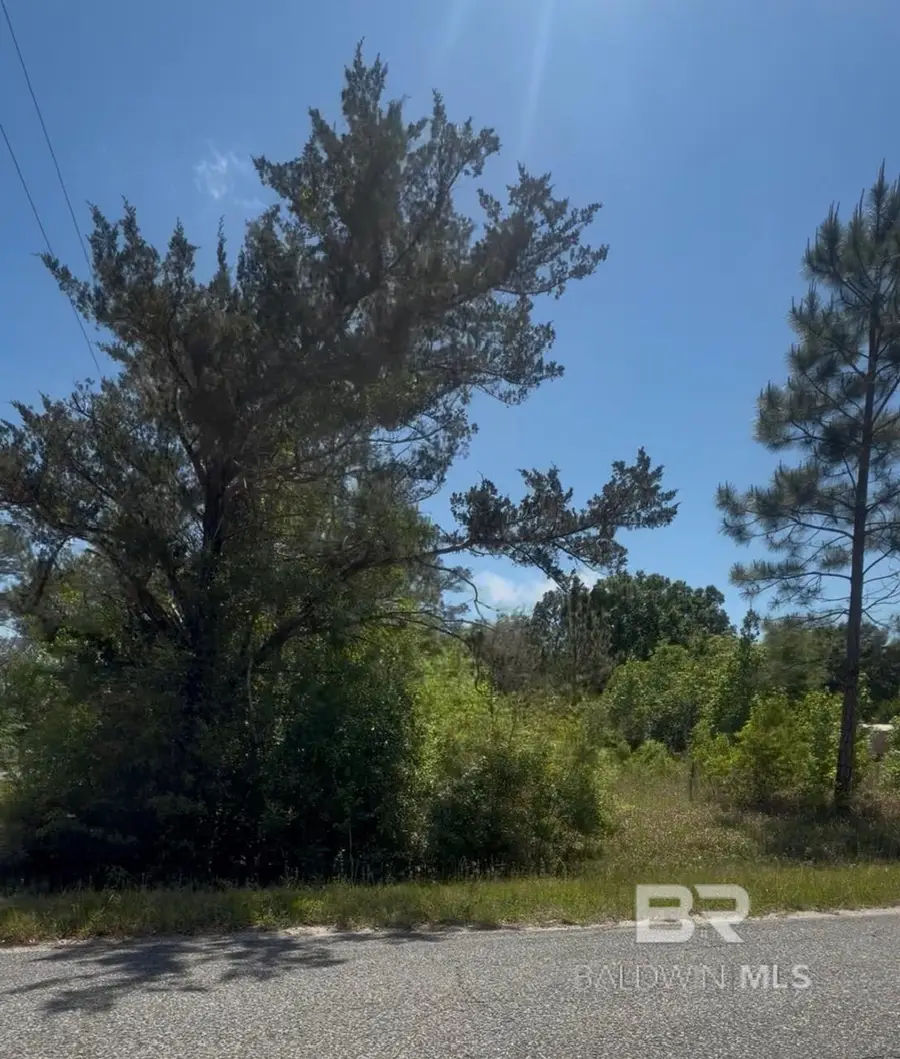 13231 5th Street, Lillian, AL 36549 - #2