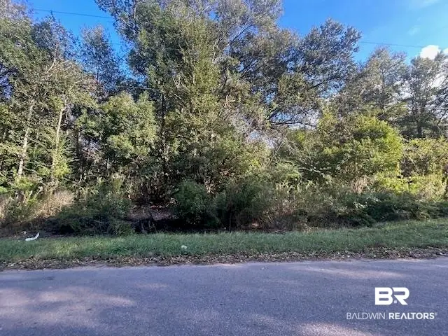 0 New Era Road, Fairhope, AL 36532 - #1
