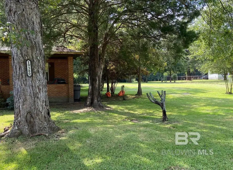 19380 Shepard Lake Road, Mount Vernon, AL 36560 - #3