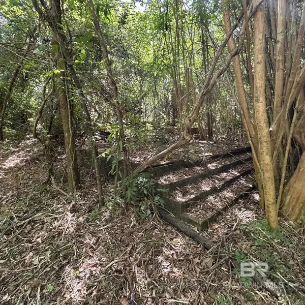 23587 Cowling Road, Robertsdale, AL 36567