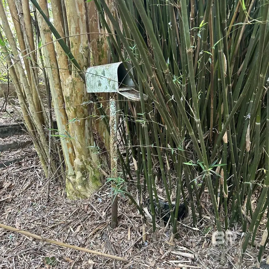 23587 Cowling Road, Robertsdale, AL 36567 - #3