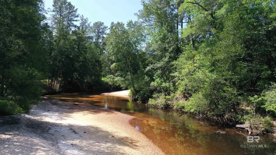 Lot 22 Creek Adventures Lane, Flomaton, AL 36441 - #3