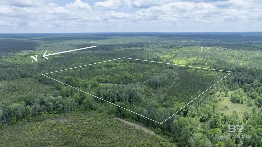 0 Phillipsville Road, Bay Minette, AL 36507 - #2