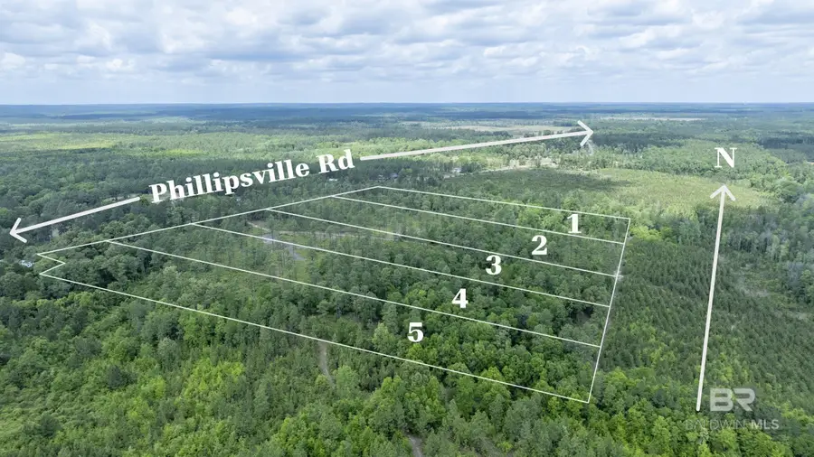 0 Phillipsville Road, Bay Minette, AL 36507 - #2