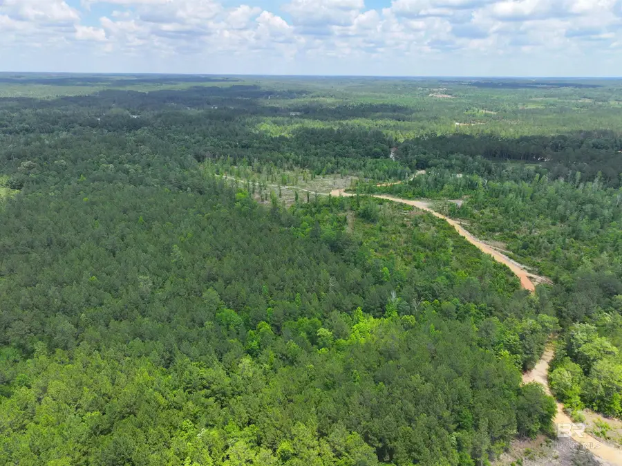 0 Sardis Church Road, Atmore, AL 36502 - #2