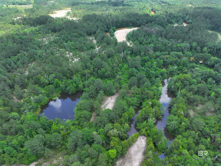 0 Sardis Church Road, Atmore, AL 36502 - #3