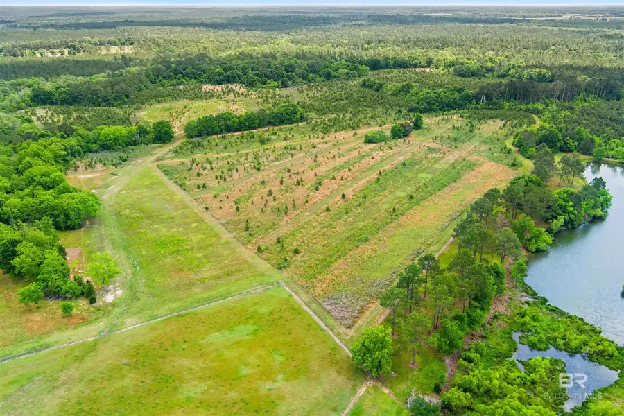 30380 County Road 49, Loxley, AL 36551 - #2