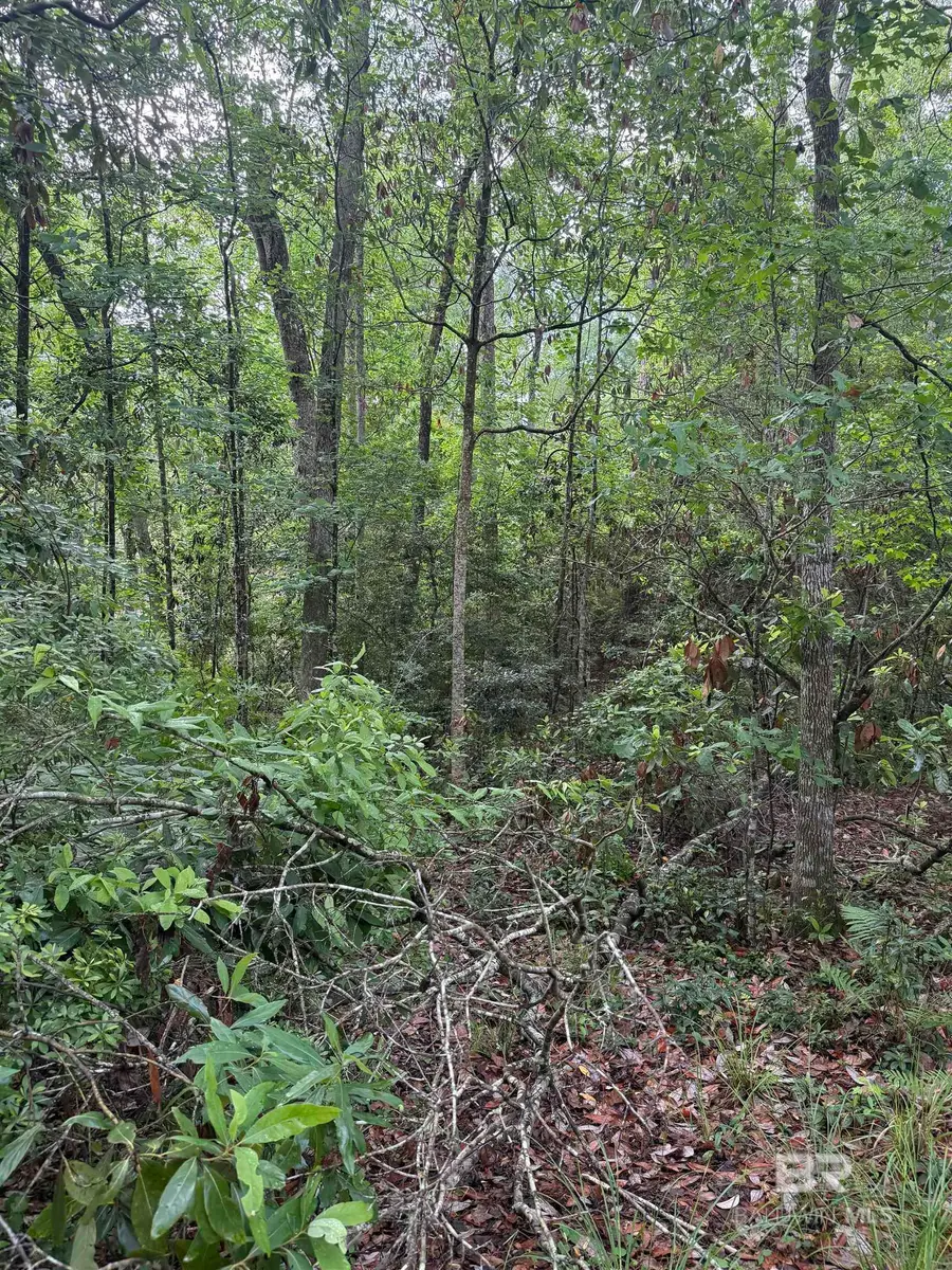 0 Rhett Drive, Spanish Fort, AL 36527 - #2