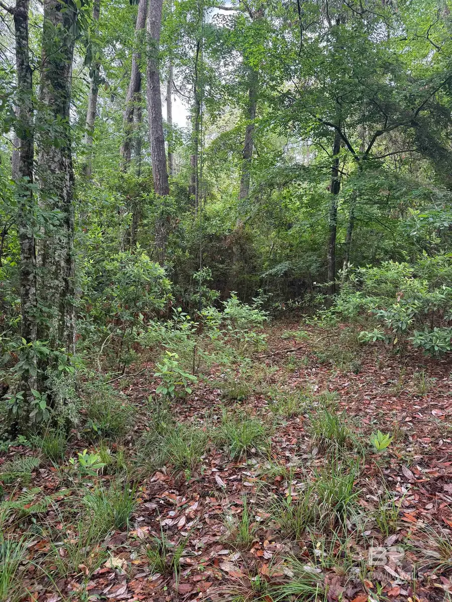 0 Rhett Drive, Spanish Fort, AL 36527 - #3