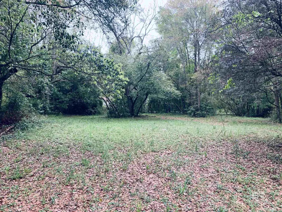 1510 Northview Drive, Mobile, AL 36618 - #3