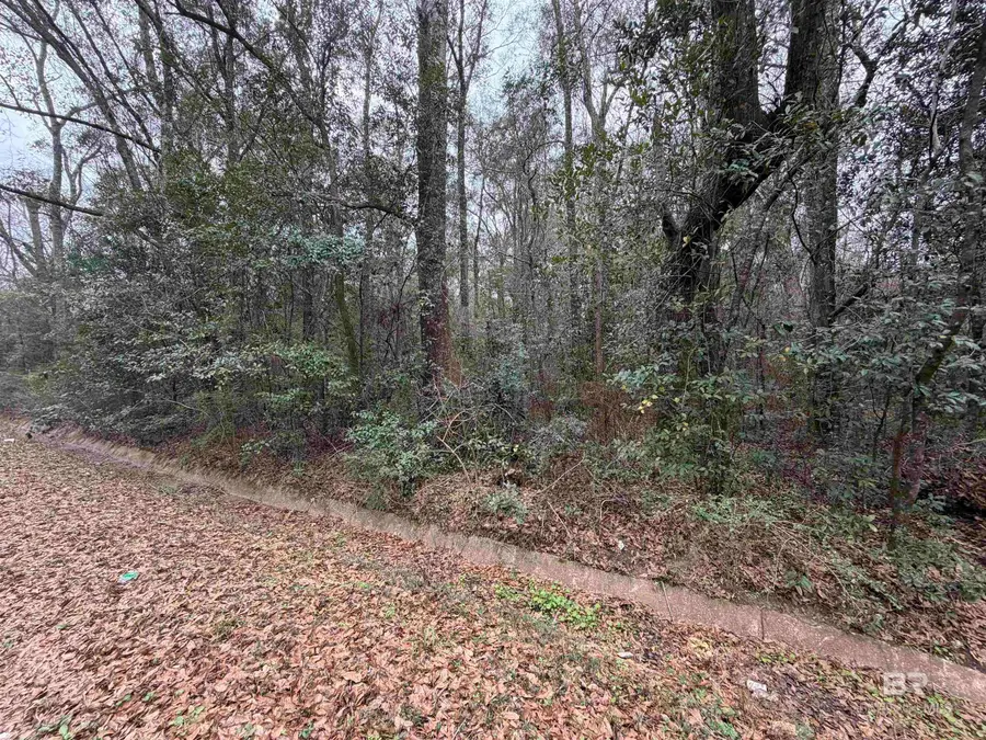 0 Carol Street, Mobile, AL 36608 - #2