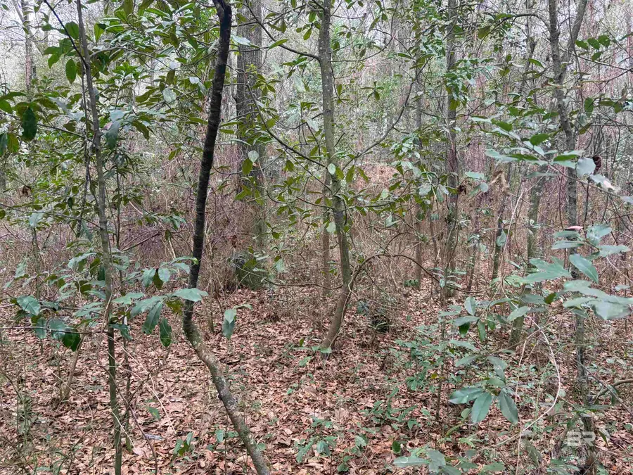 0 Carol Street, Mobile, AL 36608 - #3