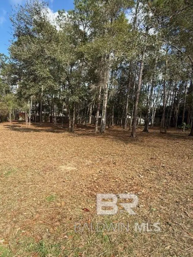 Bunker Loop, Fairhope, AL 36532 - #1