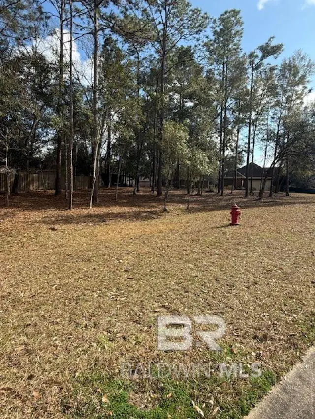 Bunker Loop, Fairhope, AL 36532 - #2