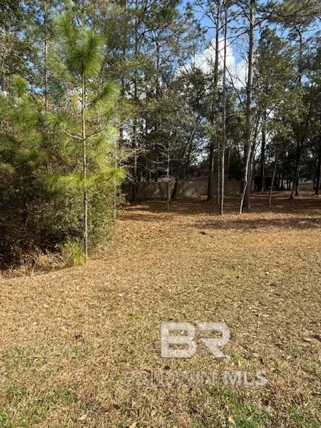 Bunker Loop, Fairhope, AL 36532 - #3