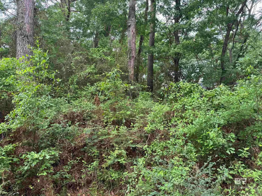9050 Rice Creek Road, Stockton, AL 36579 - #2