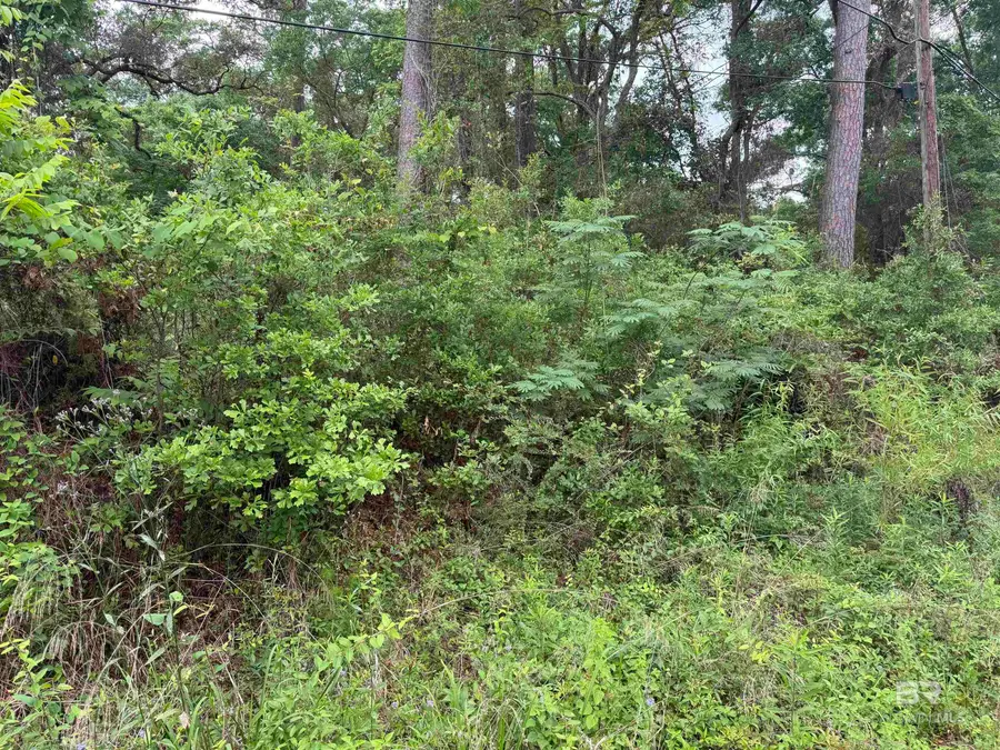 9050 Rice Creek Road, Stockton, AL 36579 - #3