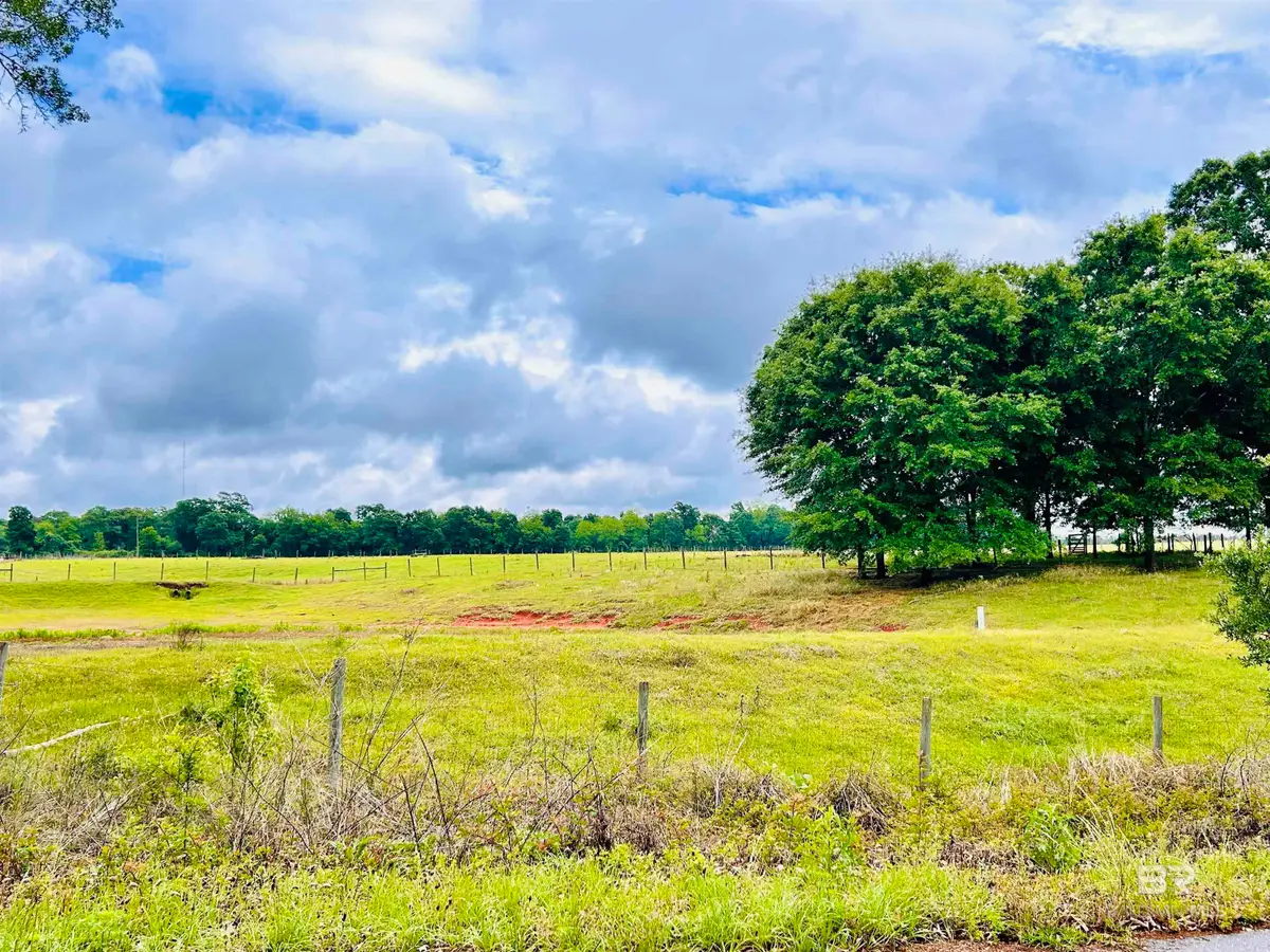 822 Dogwood Road, Brewton, AL 36426 - #1