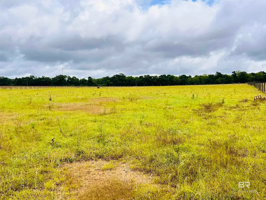 822 Dogwood Road, Brewton, AL 36426 - #3