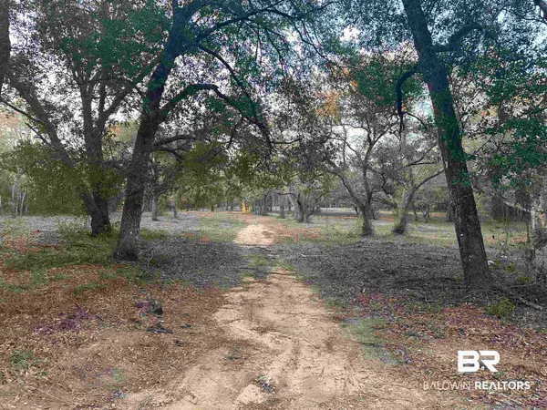 00 County Road 99, Lillian, AL 36549