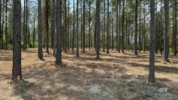 0 Ronald Sanks Road, Bay Minette, AL 36507