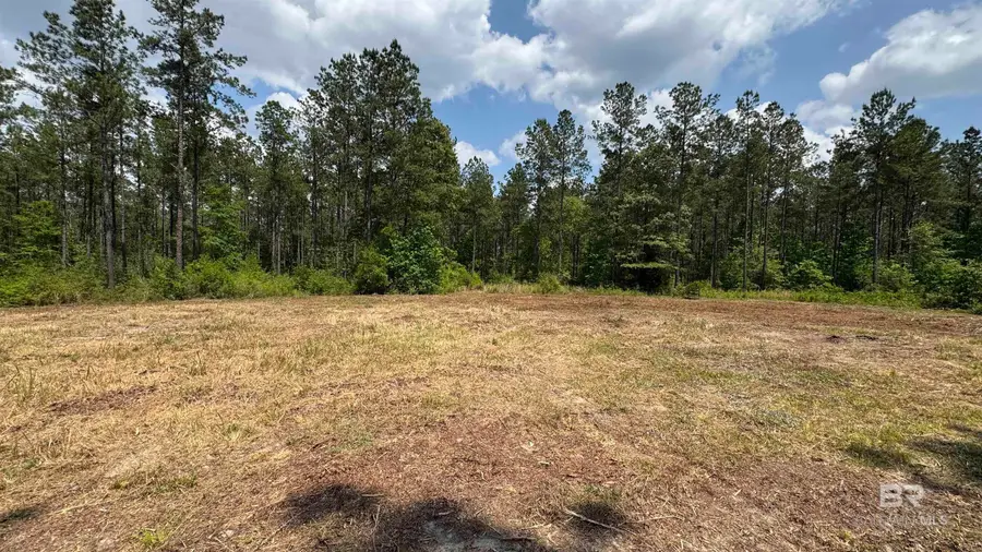 0 Ronald Sanks Road, Bay Minette, AL 36507 - #2